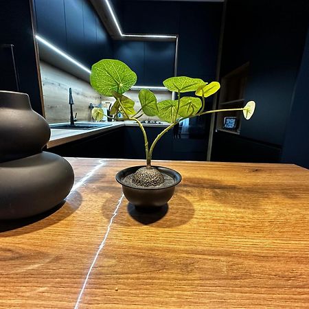 1Br Modern Condo Near The University 소피아 외부 사진